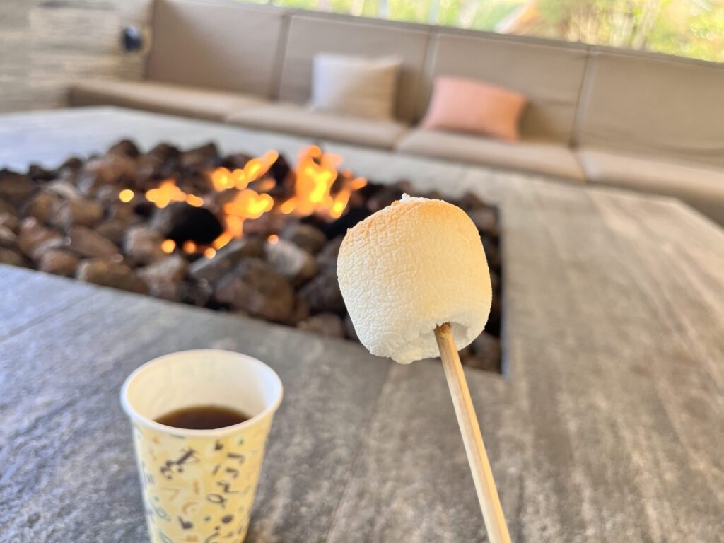 屋外プール/LIVING GARDEN/焼きマシュマロ体験