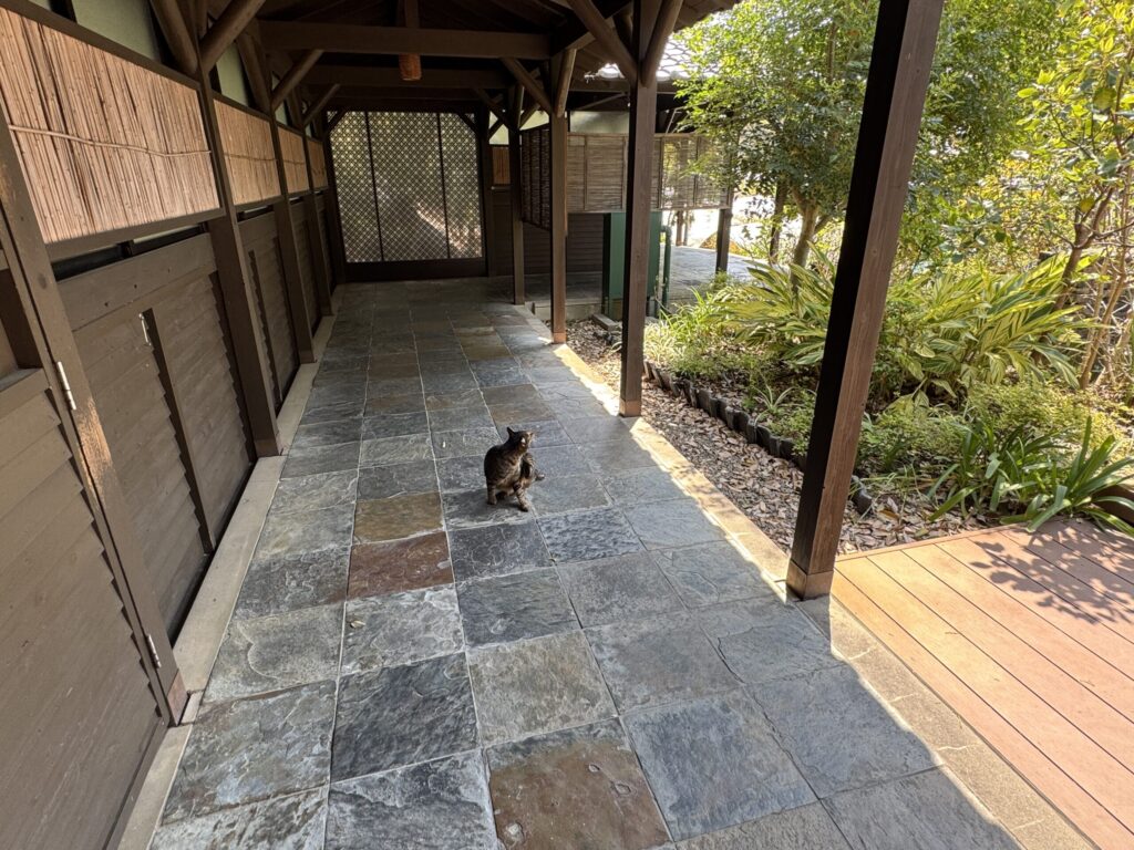 温泉/松泉宮通路